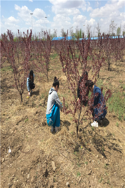 澳门新浦京3189娱乐场