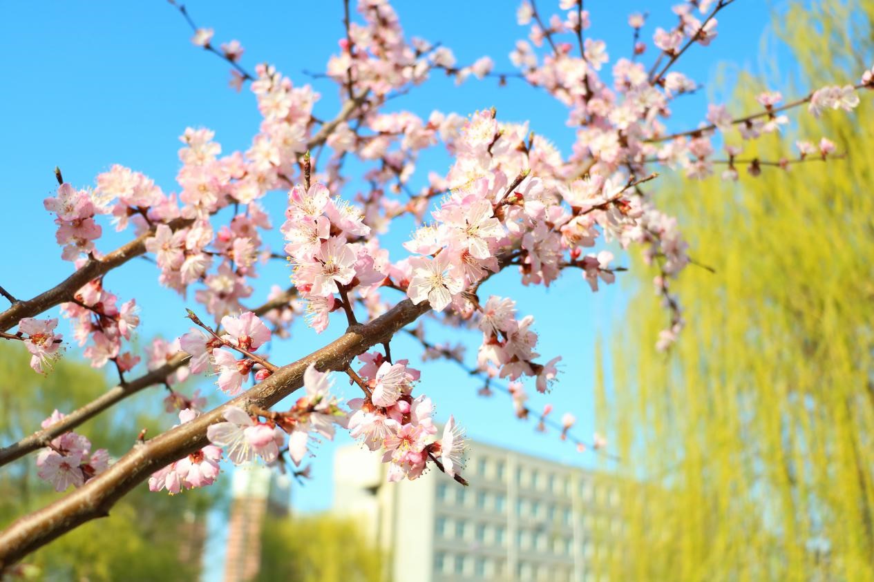 澳门新浦京3189娱乐场