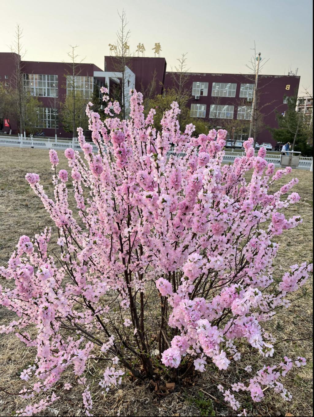 澳门新浦京3189娱乐场