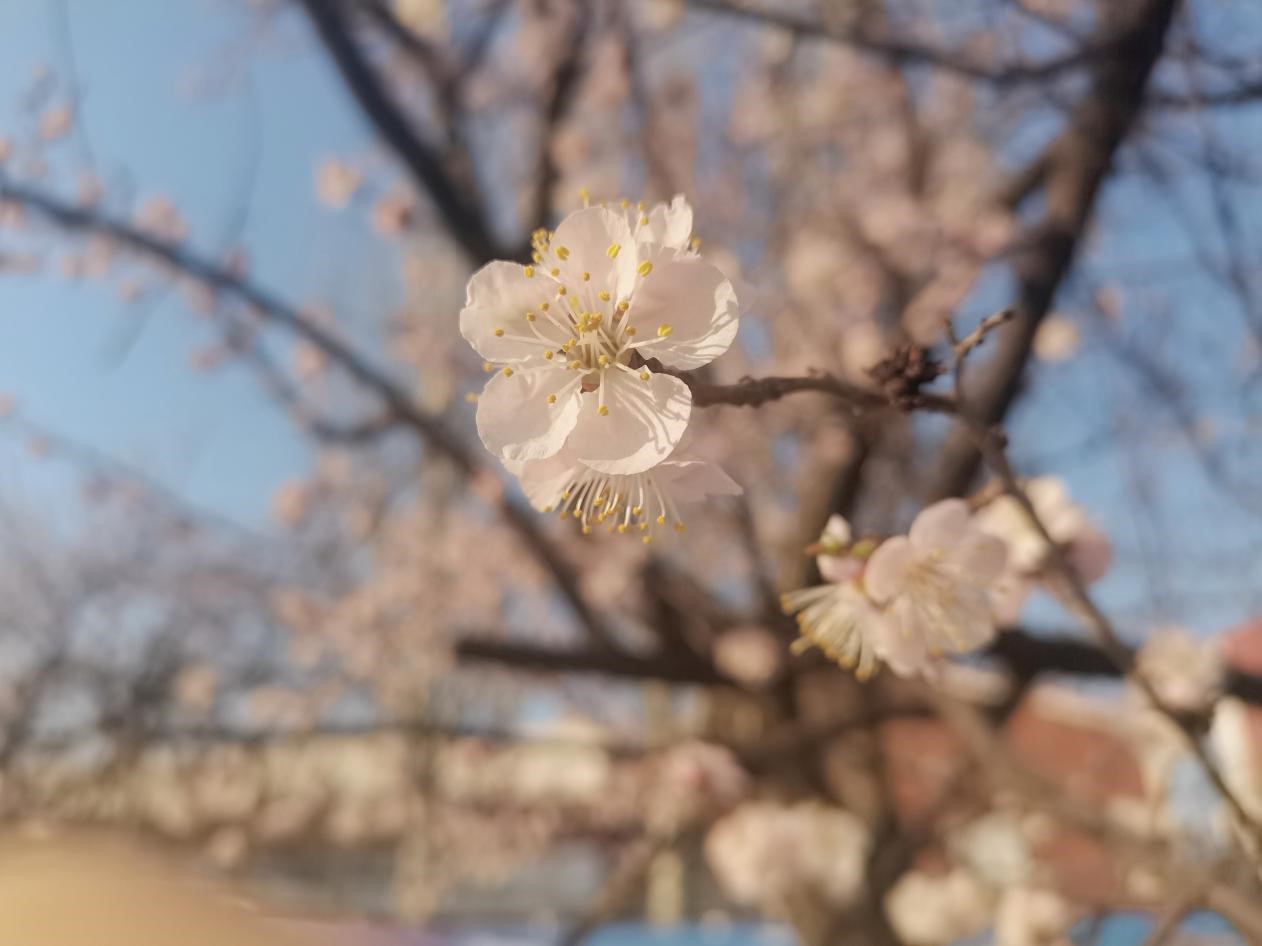 澳门新浦京3189娱乐场