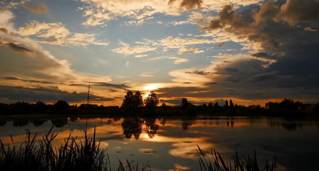 澳门新浦京3189娱乐场