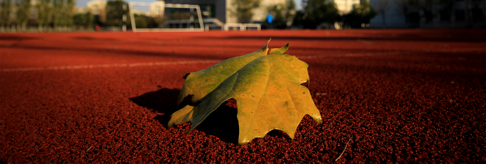 澳门新浦京3189娱乐场